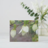 Hellgrüne Blume Postkarte (Stehend Vorderseite)
