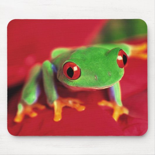 Hellgrüne Frosch-Mäusematte Mousepad (Vorne)