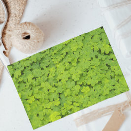 Hellgrüne Kleeblätter Seidenpapier