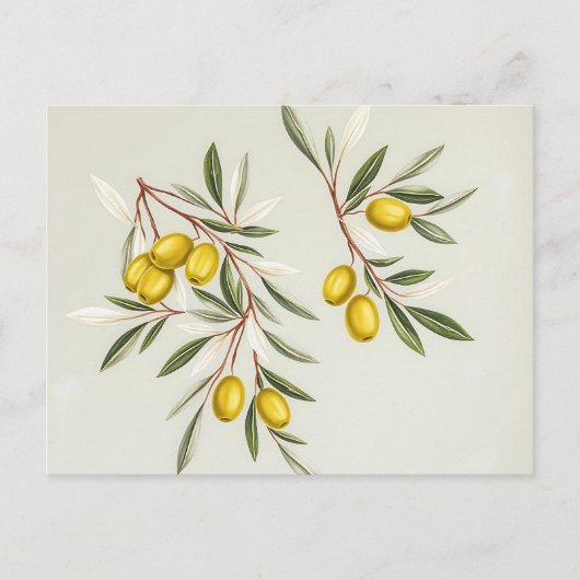 Hellgrüne Olive Branches Illustration Elegante Postkarte (Vorderseite)