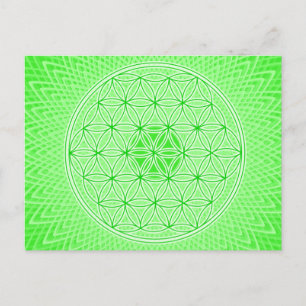 Hellgrüne Psychedelic Sacred Geometry Mandala Postkarte