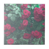Hellgrüne Rote Rosen Blume Zeichnend Fliese (Vorderseite)