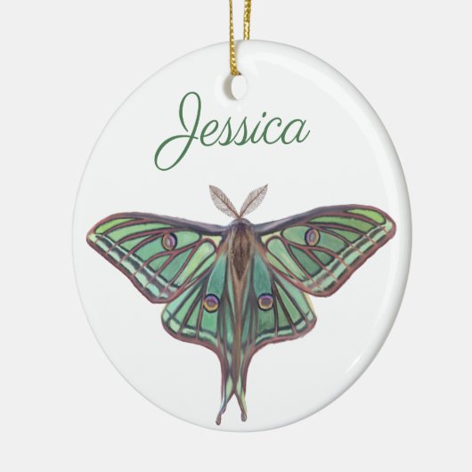 Hellgrüne spanische Mond-Motten-realistische Keramik Ornament (Links)