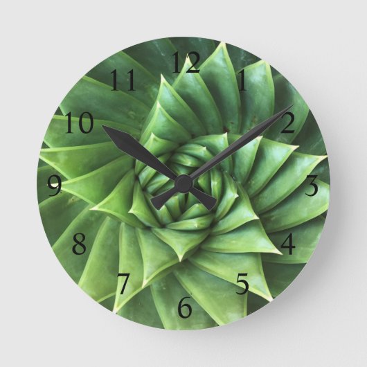 Hellgrüne Spiralaloe Polyphylla Sukkulent Runde Wanduhr (Vorderseite)