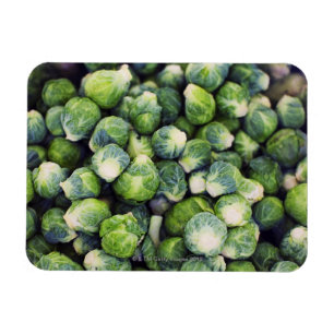 Hellgrüner frischer Rosenkohl Magnet