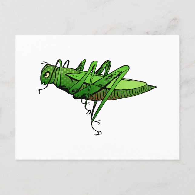 Hellgrüner Grasshopper-Insekt-Cartoon Postkarte (Vorderseite)