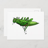 Hellgrüner Grasshopper-Insekteninsekt-Cartoon Postkarte (Vorne/Hinten)