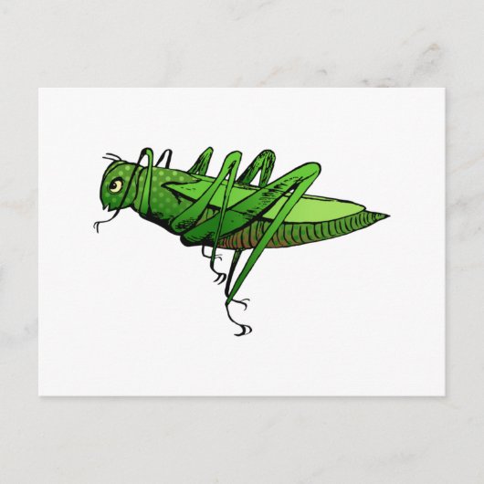 Hellgrüner Grasshopper-Insekteninsekt-Cartoon Postkarte (Vorderseite)