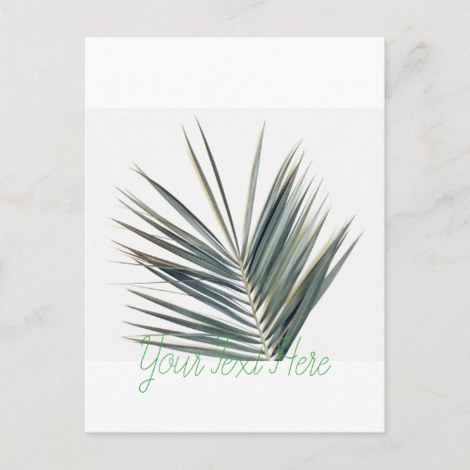 Hellgrünes Blatt Postkarte (Vorderseite)