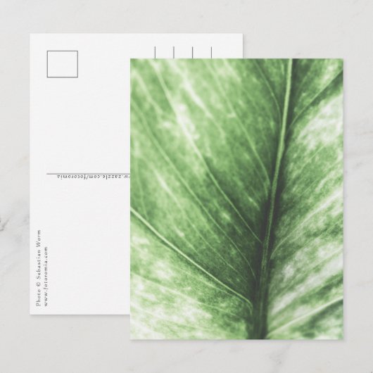 Hellgrünes Leaf-Blumendesign Postkarte (Vorne/Hinten)