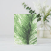 Hellgrünes Leaf-Blumendesign Postkarte (Stehend Vorderseite)