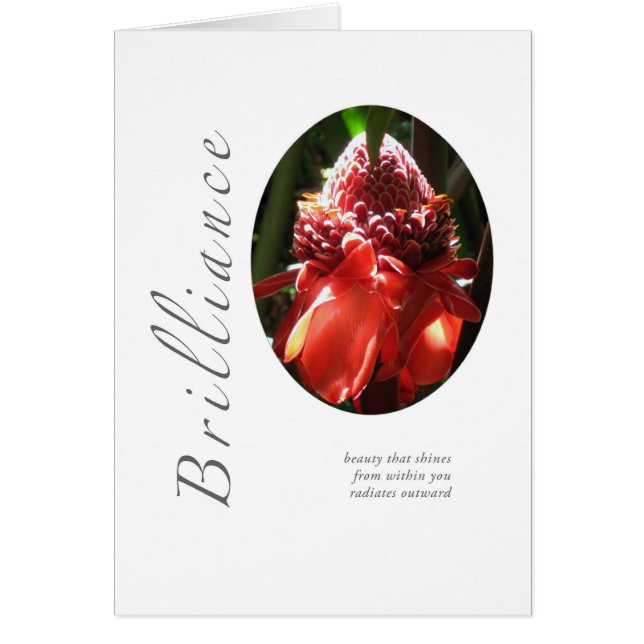 Helligkeit in Brand gesetzter Ingwer (Vorne)