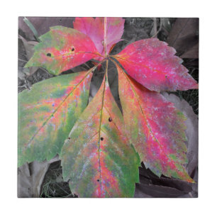 Helligkeit unter dem Grau - Herbst-Blatt Fliese