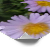 Helllila Poster (Ecke)