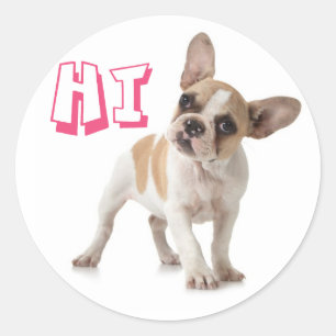Helllo Hi French Bulldog Welpe Hund Sticker / Sieg