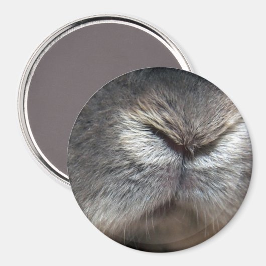 Hellnase Magnet (Vorderseite/Rückseite)