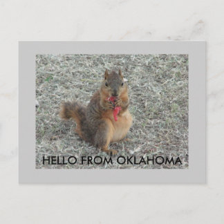 HELLO AUS OKLAHOMA POSTKARTE