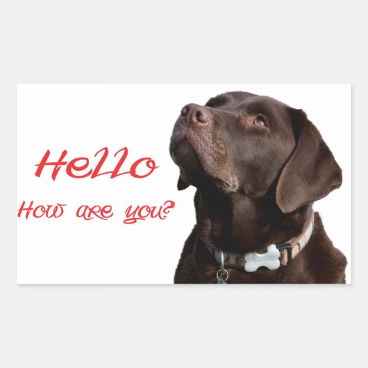 Hello Black Brown Labrador Retriever Sticker Label (Vorderseite)