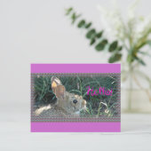 Hello Bunny Postkarte (Stehend Vorderseite)