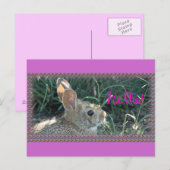 Hello Bunny Postkarte (Vorne/Hinten)