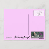 Hello Bunny Postkarte (Rückseite)