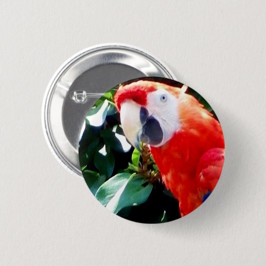 Hello_ Button (Vorne & Hinten)