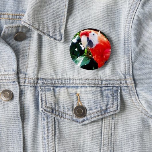 Hello_ Button (Beispiel)