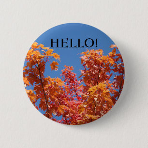 HELLO! Buttons Blue Sky Orange Fall Tree Blätter