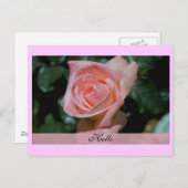 Hello Card Postkarte (Vorne/Hinten)