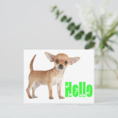 Hello Chihuahua Puppy Dog Post Card Postkarte (Stehend Vorderseite)