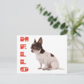 Hello Chihuahua Puppy Dog Post Card Postkarte (Stehend Vorderseite)