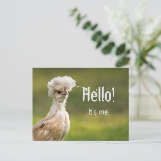Hello Custom Message Polnisches Hühnchen Postkarte (Stehend Vorderseite)