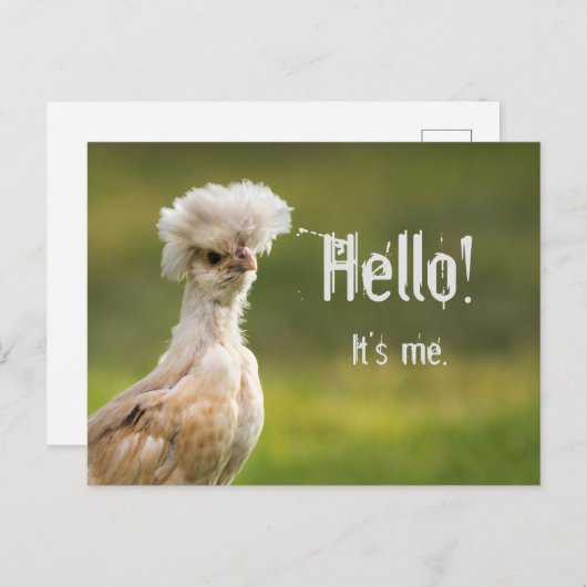 Hello Custom Message Polnisches Hühnchen Postkarte (Vorne/Hinten)