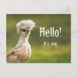Hello Custom Message Polnisches Hühnchen Postkarte