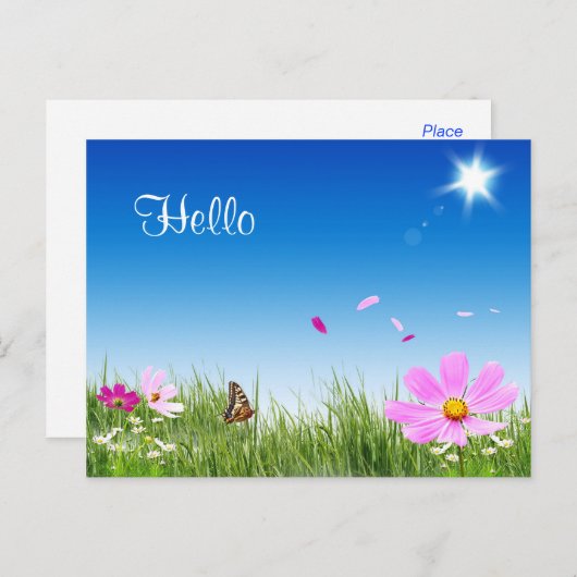 Hello Daisy Butterfly Flower Garden Post Card Postkarte (Vorne/Hinten)