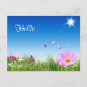 Hello Daisy Butterfly Flower Garden Post Card Postkarte (Vorderseite)