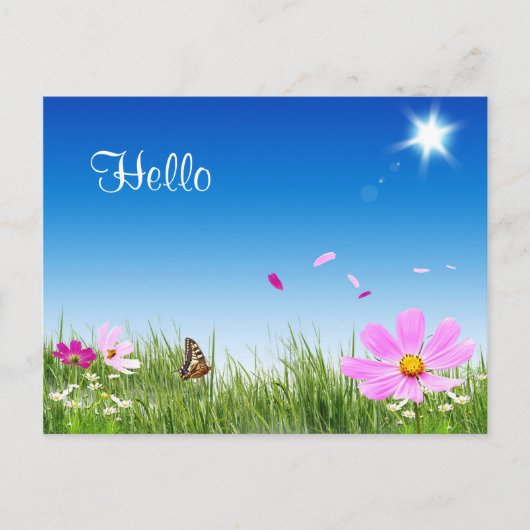 Hello Daisy Butterfly Flower Garden Post Card Postkarte (Vorderseite)