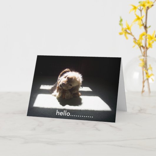 HELLO, DENKEN SIE AN FREUNDE ODER FAMILIEN KARTE (Gelbe Blume)