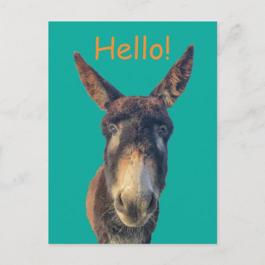 Hello Donkey Farm Animal Postcard Postkarte (Vorderseite)