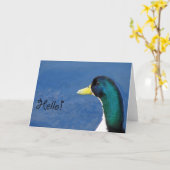 Hello Duck Karte (Gelbe Blume)