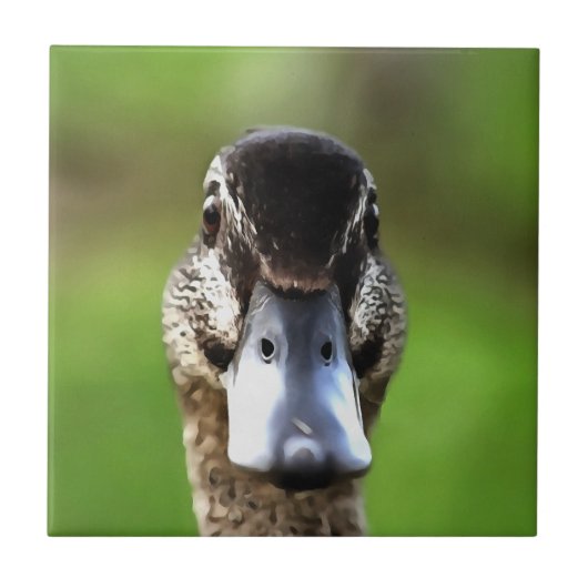 Hello Ducky Quirky Duck Portrait Fliese (Vorderseite)