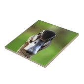 Hello Ducky Quirky Duck Portrait Fliese (Seite)