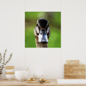 Hello Ducky Quirky Duck Portrait Poster (Küche)