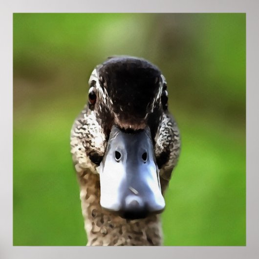 Hello Ducky Quirky Duck Portrait Poster (Vorne)