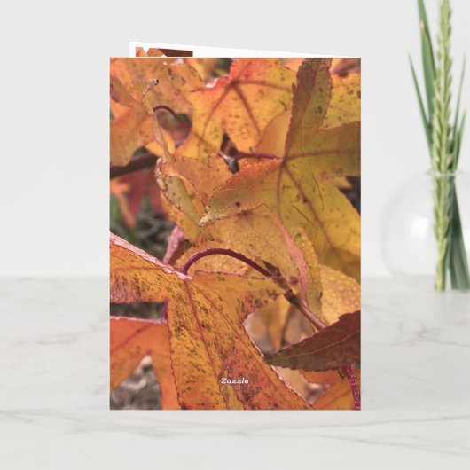 "Hello Fall!" Greeting Card Karte (Rückseite)