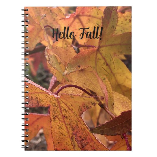 "Hello Fall!" Notebook Notizblock (Vorderseite)