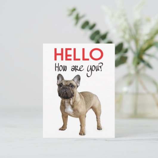 Hello French Bulldog Puppy Dop Card Postkarte (Stehend Vorderseite)