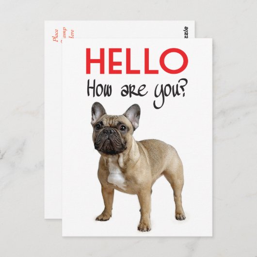 Hello French Bulldog Puppy Dop Card Postkarte (Vorne/Hinten)