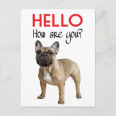 Hello French Bulldog Puppy Dop Card Postkarte (Vorderseite)