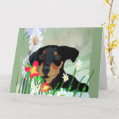 Hello Friend Anytime Card Karte (Gelbe Blume)